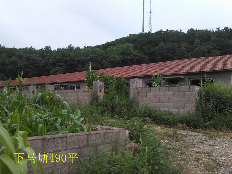 6̖(h��o)  �Ϸ҅^(q��)���R���(zh��n)�̼Ҵ巿�a(ch��n)