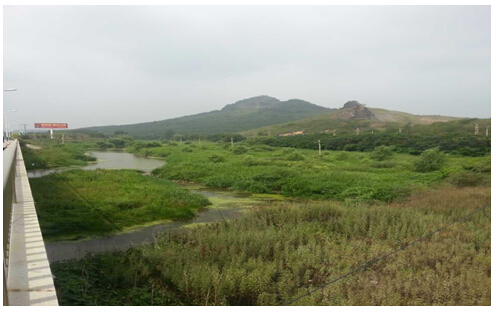 10̖ ��ɽ�Ǘ����Ӵ�������ֵ�