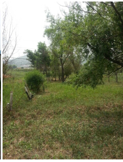 19̖ ��ɽ��ǧɽ�^(q��)�|��ɽ�(zh��n)�|���Ӵ弯�w����ʹ�Ù�