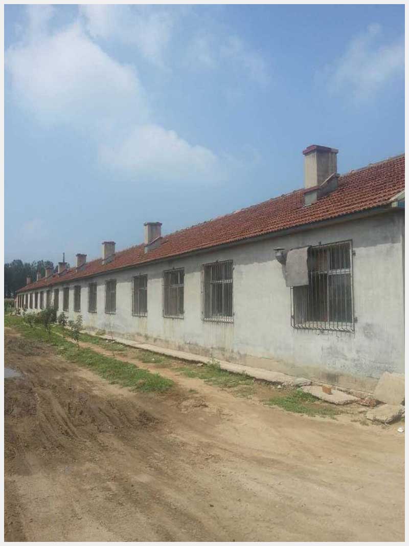 86̖ �����Ж|���(zh��n)�|�Ĵ巿�a(ch��n)����������ʹ�Ù�