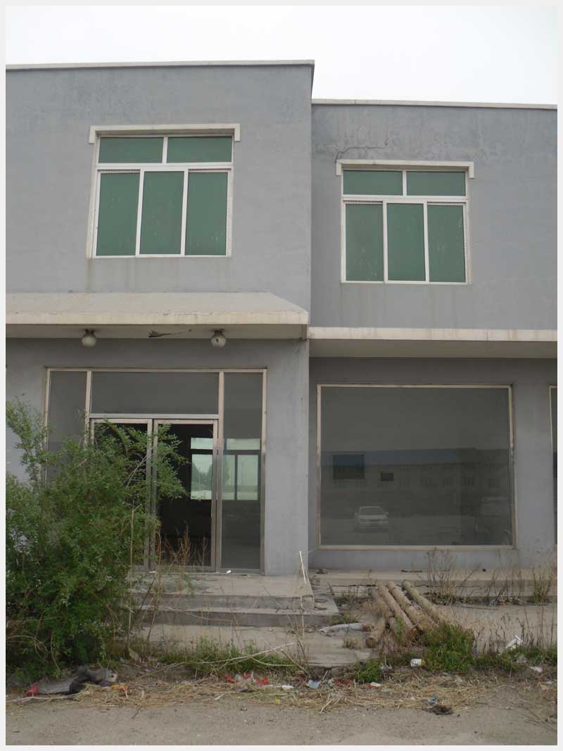 113̖  ���������_�(zh��n)���_���r�����l(f��)�Ј����a(ch��n)