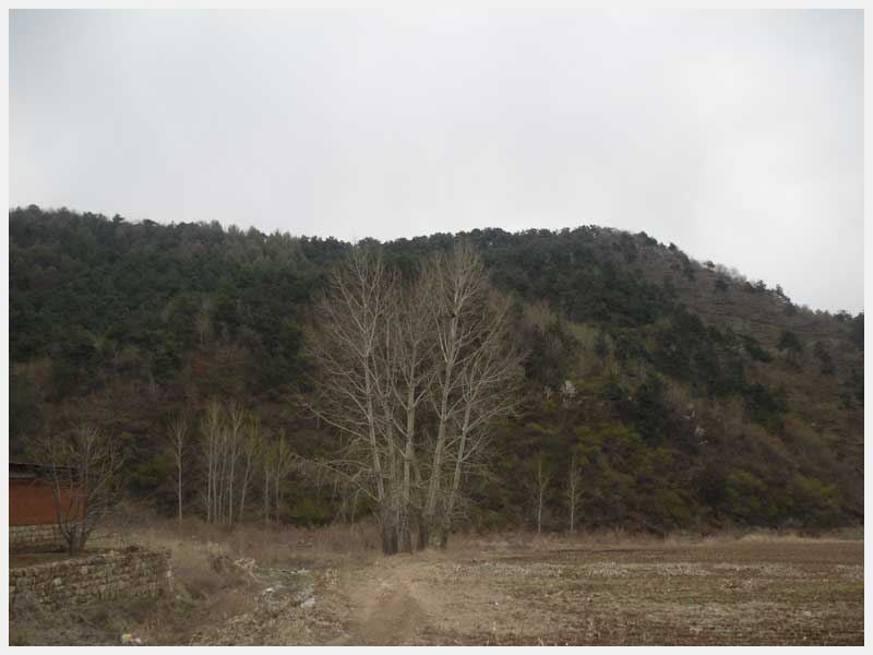 12̖  �����н����(zh��n)�μҴ�������