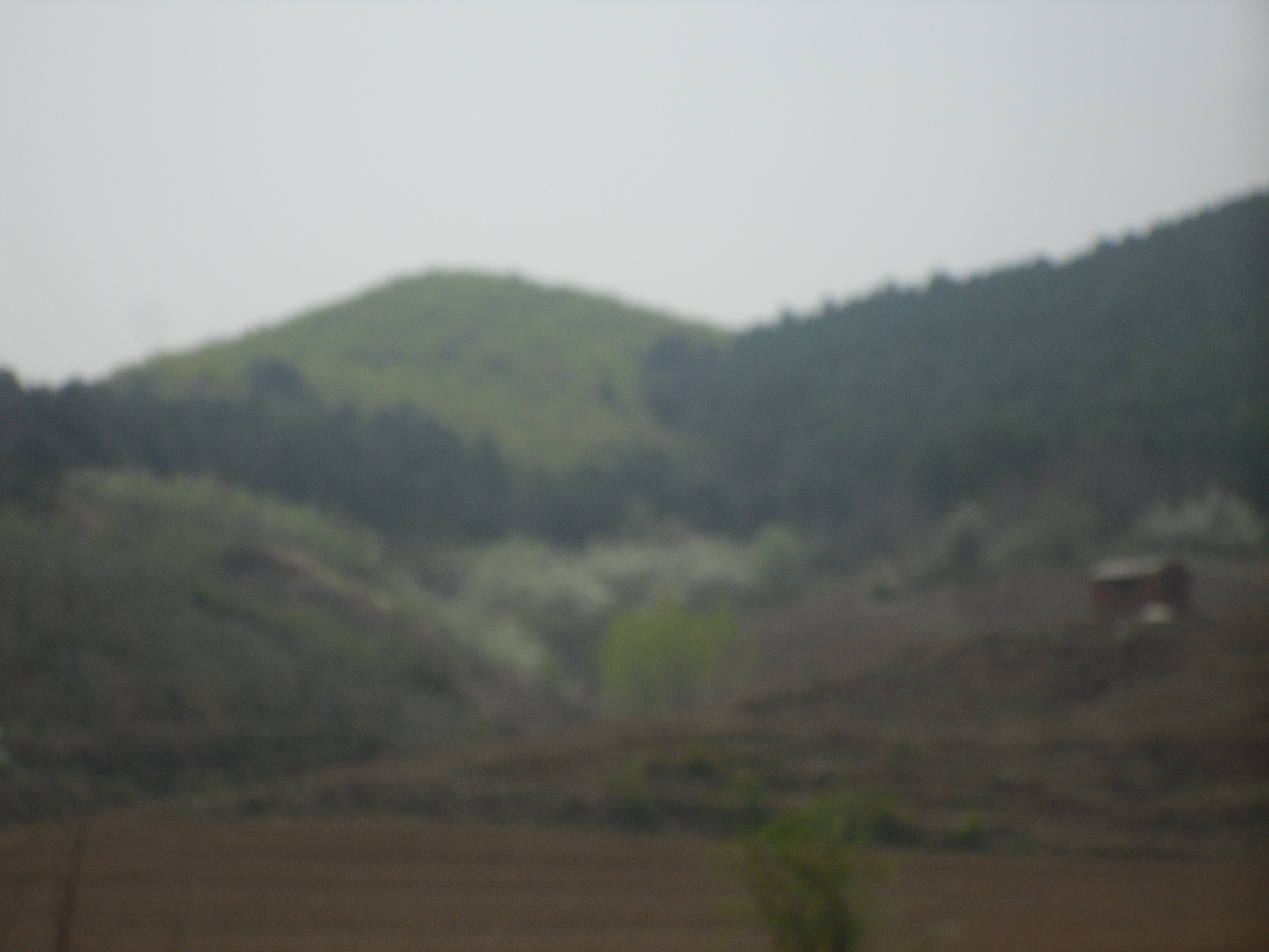 6̖ �����в���(zh��n)�����������ɽ��ʹ�Ù༰���Ϲ���