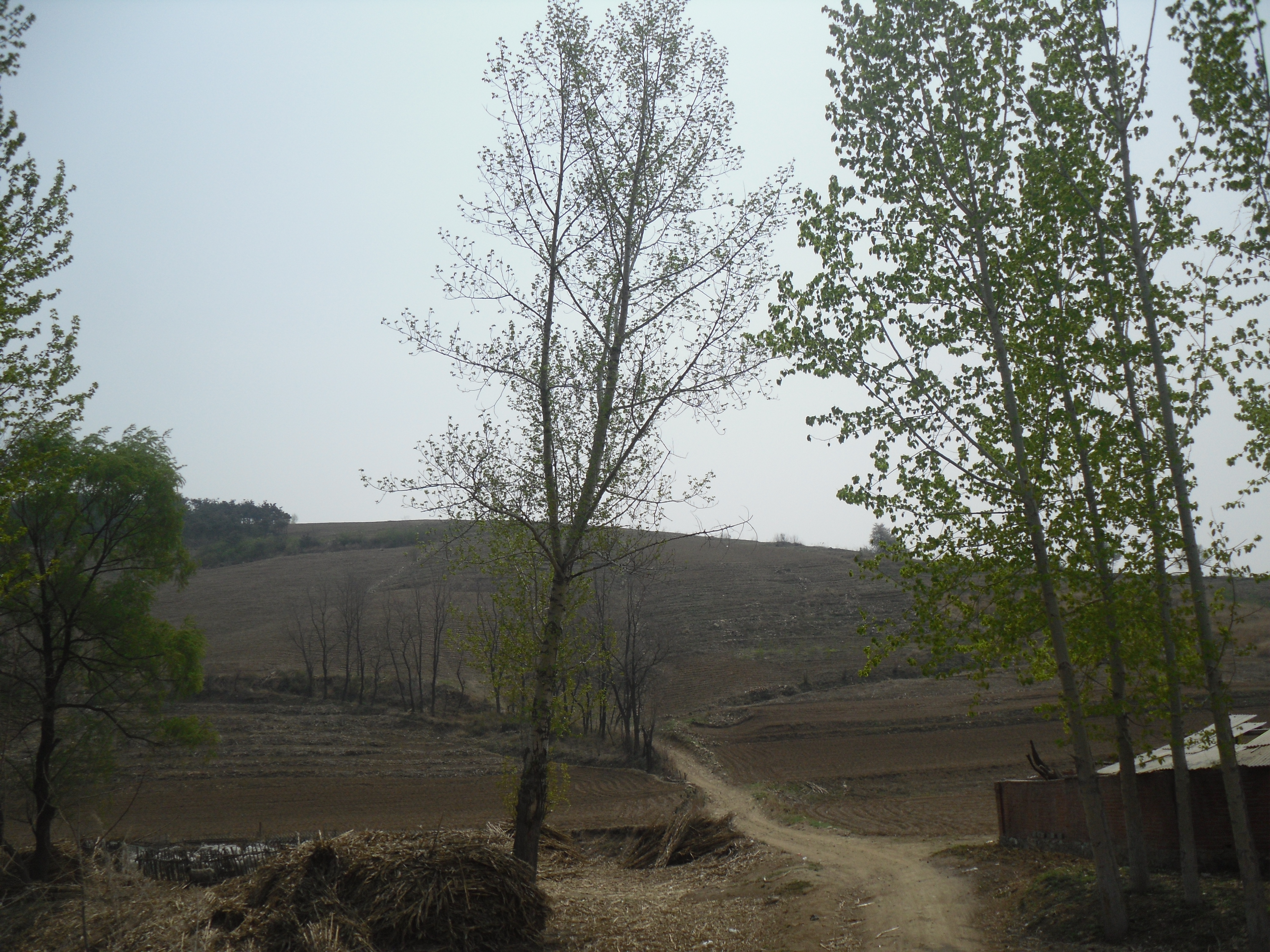 8̖ �����в���(zh��n)���ʹ�3�M��ɽɽ�ϸ���ʹ�Ù�