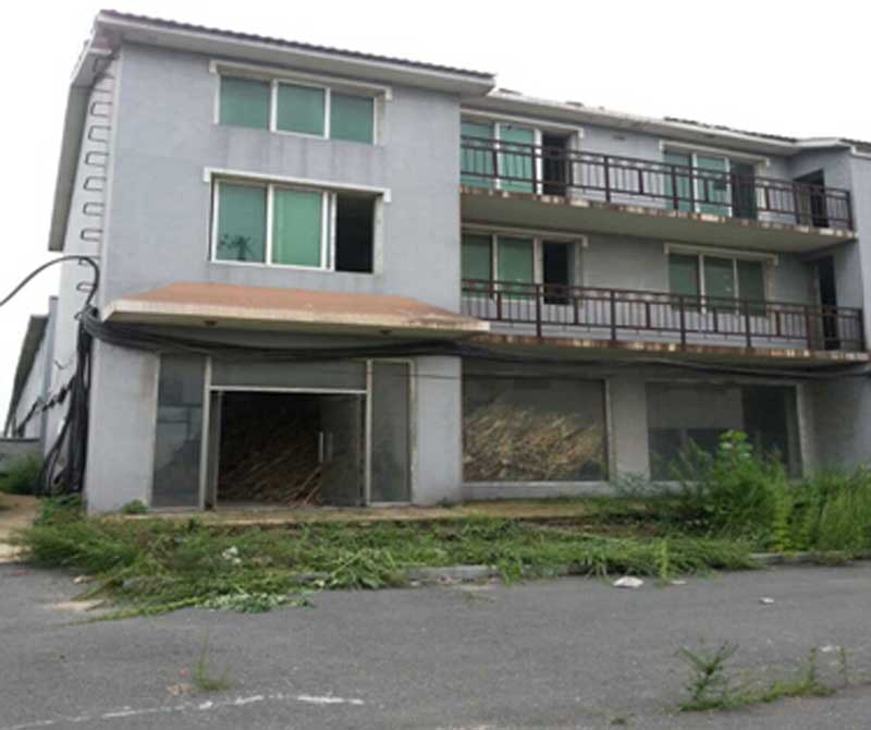 37̖ �������_(t��i)�(zh��n)�u���Ј���̖����̖�T�c(di��n)